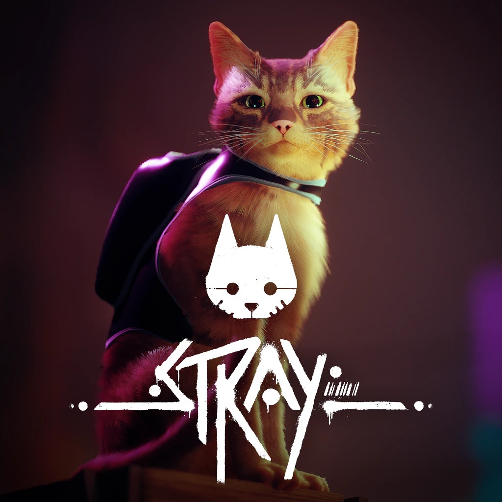 ملصق لعبة Stray - مصدر الصورة موقع سوني 